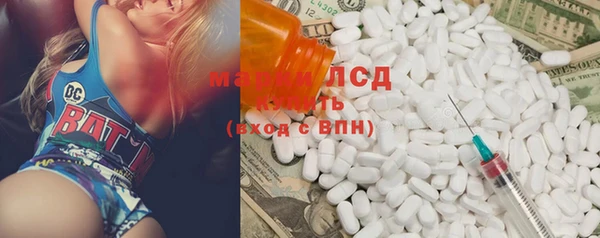 прущие грибы Армянск