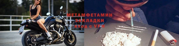 прущие грибы Армянск