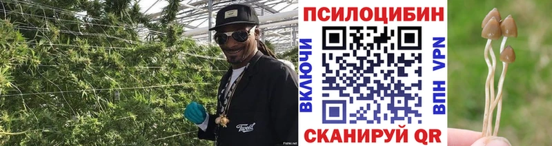 Псилоцибиновые грибы Magic Shrooms  ссылка на мегу маркетплейс  Ахтубинск 